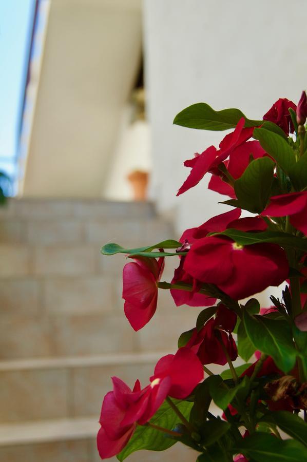 Apartments Petricevic Hvar Exterior foto